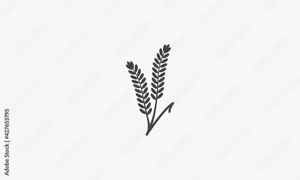 wheat plant vector illustration on white background. creative icon.