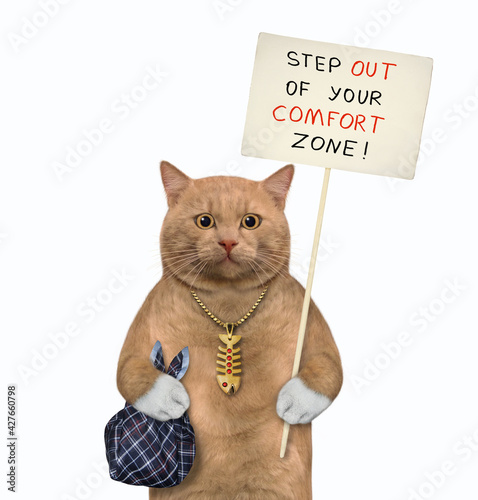 A reddish cat holds a poster that says step out of your comfort zone. White background. Isolated.