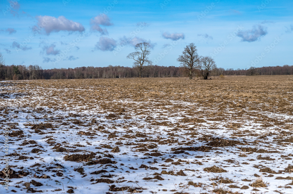Agricultural fields plowed in early spring. Slightly snow-covered farmland. Farm fields sown.