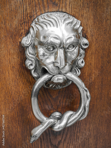 Obraz na płótnie Lion head door knocker on a wooden door w salonie