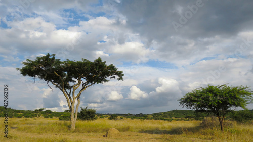 Looming storm clouds, Spioenkop Nature Reserve, Kwazulu Natal © Adrian
