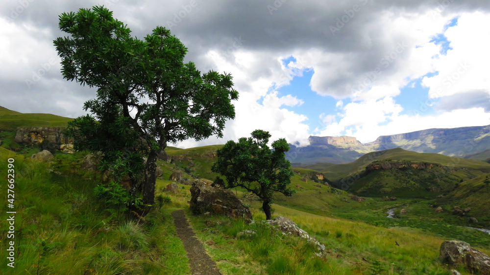 On the trail to the Main Caves, Giant's Castle, Northern Drakensberg, Kwazulu Natal
