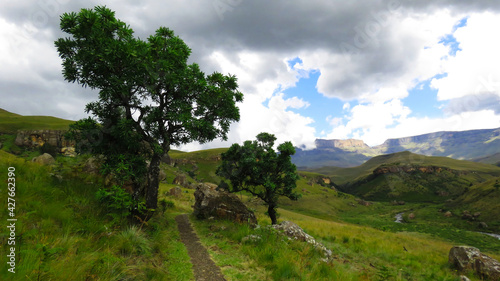 On the trail to the Main Caves, Giant's Castle, Northern Drakensberg, Kwazulu Natal © Adrian