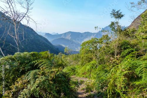 Buraco do Ouro trail, within forest, with mountains in the background, Teresopolis, State of Rio de Janeiro, Brazil