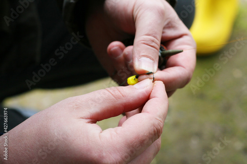 Men's hands impale maggots on a fish hook