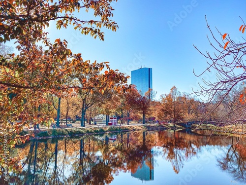 Boston Fall Foliage photo