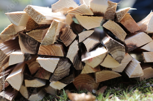 Stack of firewood on the grass at the park. 