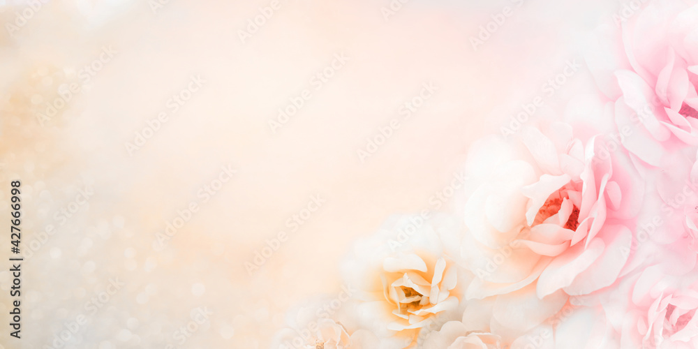 Fototapeta premium soft roses flower banner background in vintage peach tone with glitters and copy space design for valentine and wedding cards