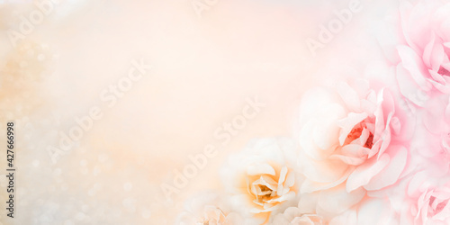soft roses flower banner background in vintage peach tone with glitters and copy space design for valentine and wedding cards