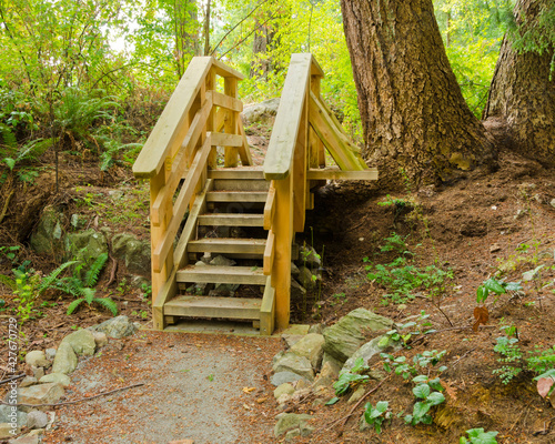 Fragment of a trail in Kloochman park  West Vancouver  Canada.