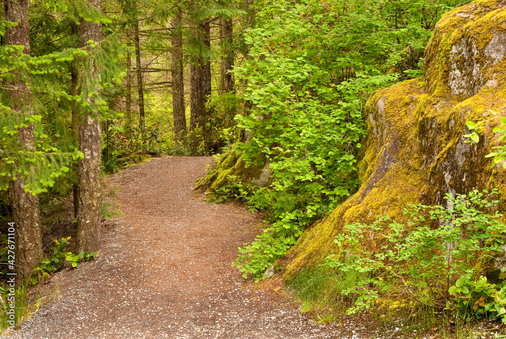 Fragment of a trail at Brohm lake, British Columbia, Canada. Fragment of a trail at Brohm lake, British Columbia, Canada.