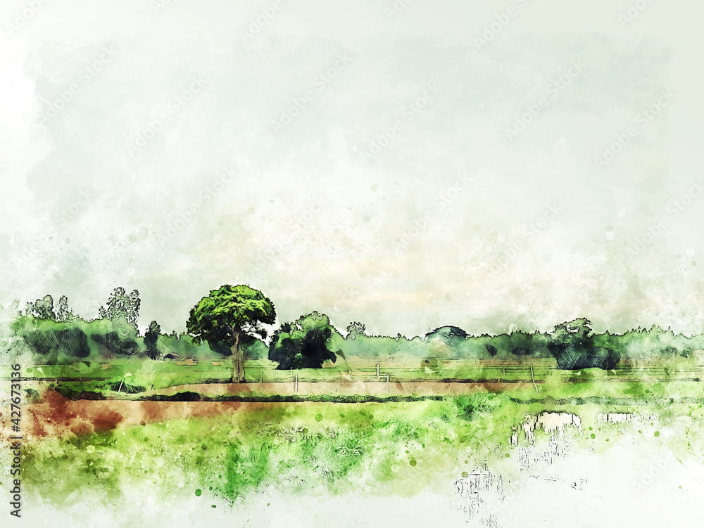 Obraz Streszczenie drzewo i pole krajobraz w Tajlandii na tle malarstwa akwarela ilustracja.