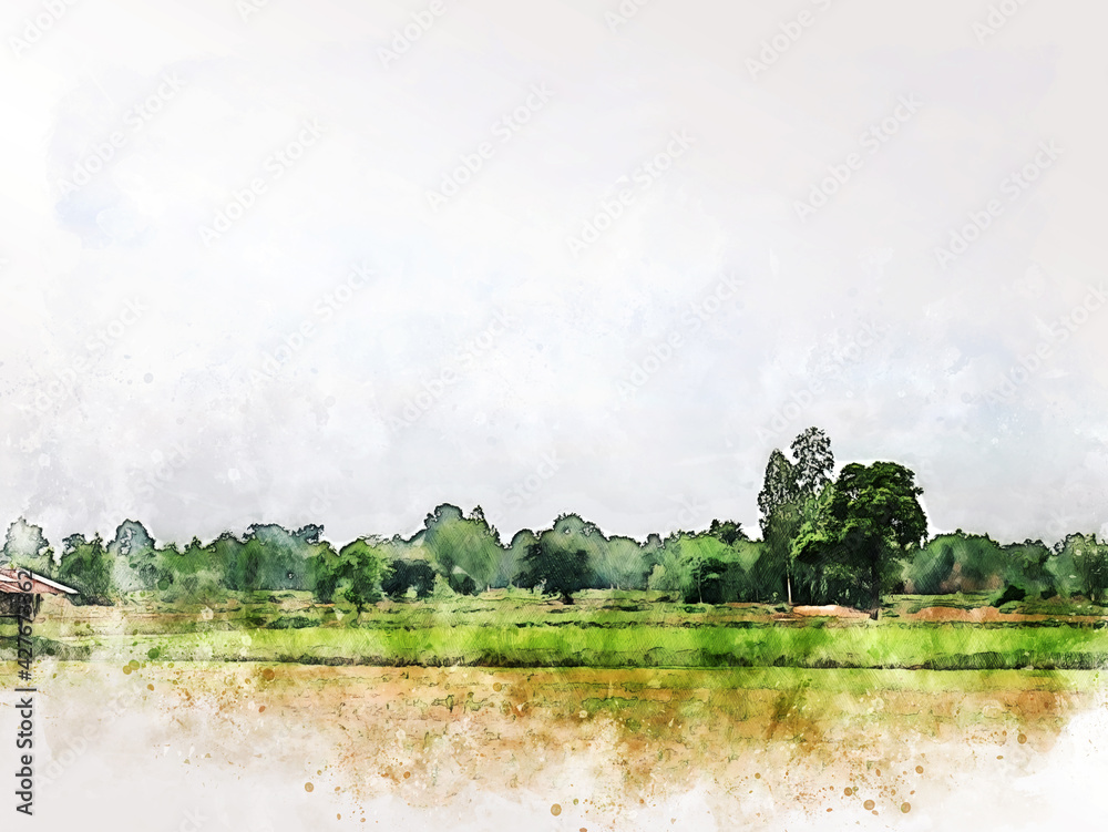 Obraz Abstract tree and field landscape in Thailand on watercolor illustration painting background.