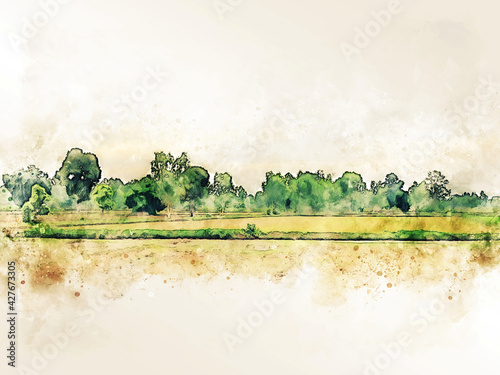 Abstract tree and field landscape in Thailand on watercolor illustration painting background.