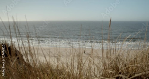 Dune gras moving in the wind on Sylt with the north sea and people on the beach in the background photo