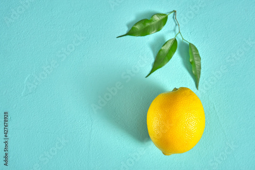fresh yellow lemon with green branch with leaves. turquoise background. copy space