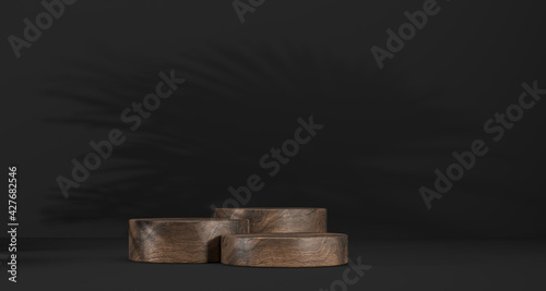 Fototapeta Naklejka Na Ścianę i Meble -  abstract template as presentation stage with leaf shadow in front of background - 3D Illustration