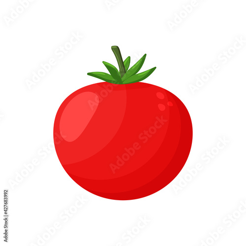 Red tomato clip art isolated on white background, tomatos cartoon infographics, illustration cartoon tomato simple flat, cute tomato for kindergarten child learning, tomato for flash card of kids.