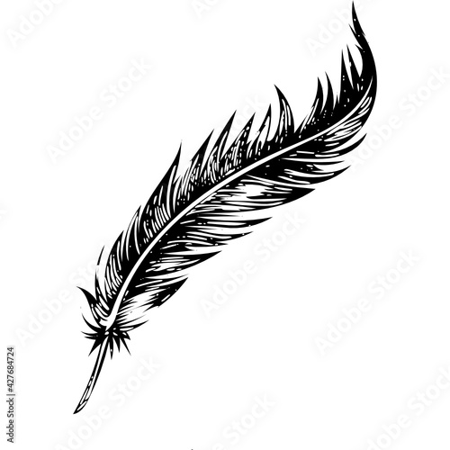 feather