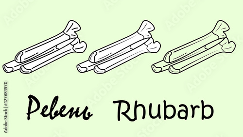 A set of three rhubarb objects with the inscription 