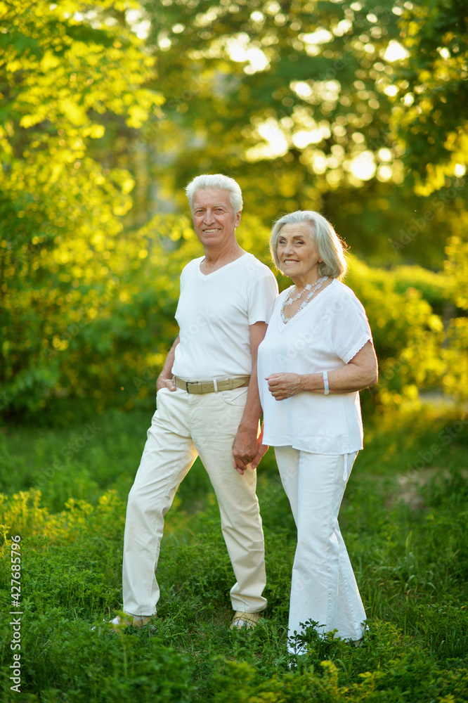 beautiful caucasian senior couple in the park beautiful caucasian senior couple in the park