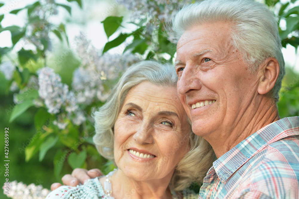 portrait of beautiful senior couple posing