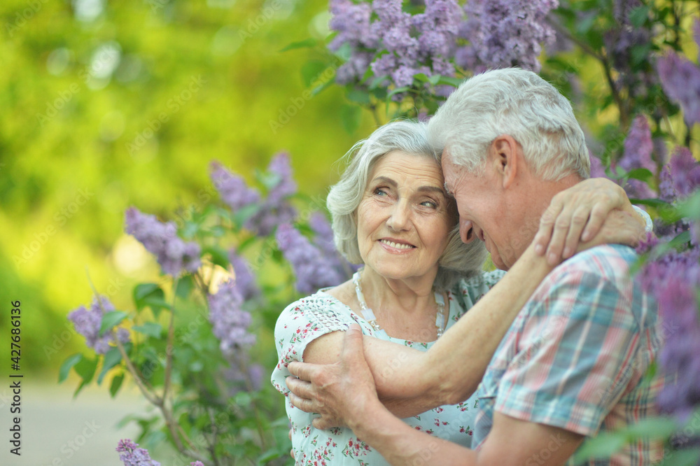 portrait of beautiful senior couple hugging portrait of beautiful senior couple hugging