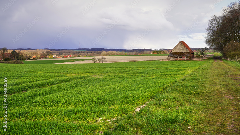 Hike in a beautiful landscape near Billerbeck,but a thunderstorm is coming. Hike in a beautiful landscape near Billerbeck,but a thunderstorm is coming.