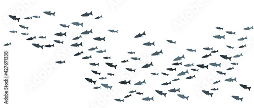 School of fish swimming vector illustration. Ocean or sea background.