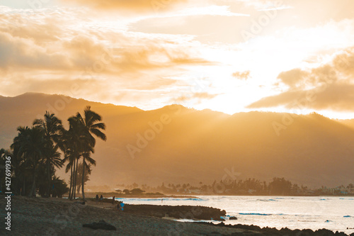 Hawaii beach travel landscape. Tourist destination in Big Island  Oahu  USA summer vacation. Sunset against silhouette of palm trees and people paddle surfing.