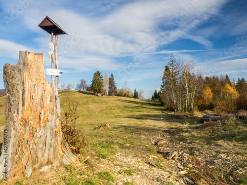 Fototapeta Naklejka Na Ścianę i Meble -  Beskidy