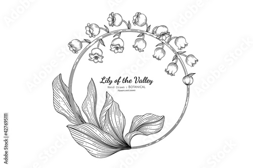 Lily of the valley flower and leaf hand drawn botanical illustration with line art.