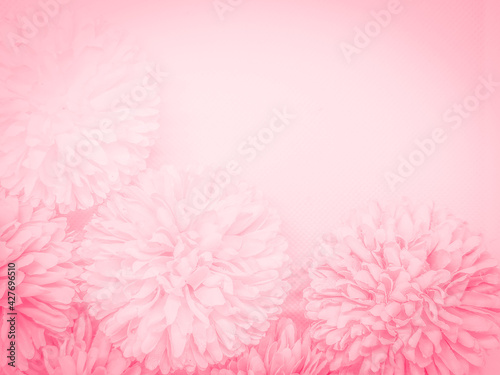 Beautiful abstract color red flowers on white background, light pink flower frame, pink leaves texture, gray background, valentines day, love theme, pink texture, white gradient