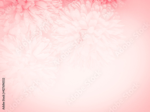 Beautiful abstract color red flowers on white background, light pink flower frame, pink leaves texture, gray background, valentines day, love theme, pink texture, white gradient
