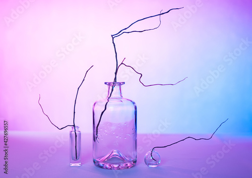 beautiful abstract composition (still life) made of bottles of different sizes made of clear glass and dry branches on a lilac-blue background