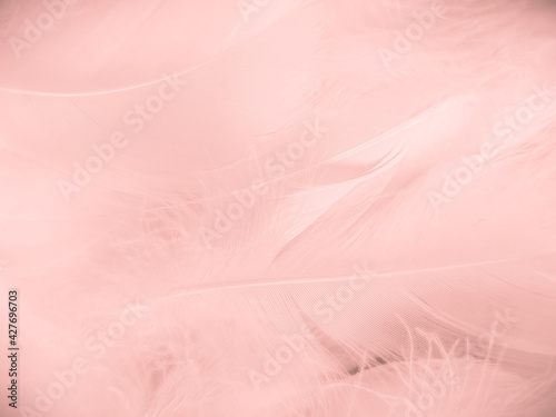 Beautiful abstract light pink feathers on white background, white feather frame on pink texture pattern and pink background, love theme wallpaper and valentines day, white gradient