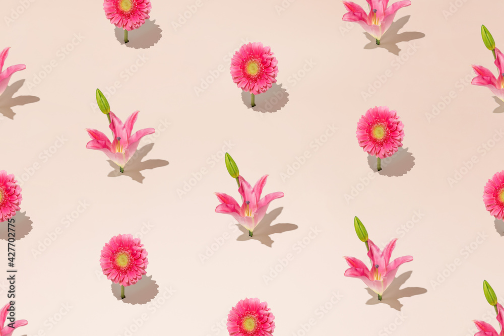 Spring and summer colorful pattern with pink flowers in full bloom and pale green buds on pastel beige background. Minimal blossom arrangement.