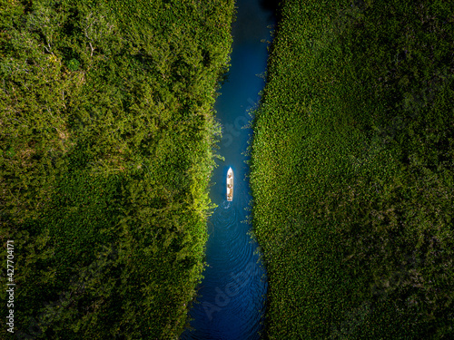 Aerial view of mangrove and lake in osa peninsula