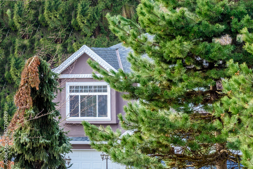 Top of a very neat and colorful home with gorgeous outdoor landscape in suburbs of Vancouver, Canada