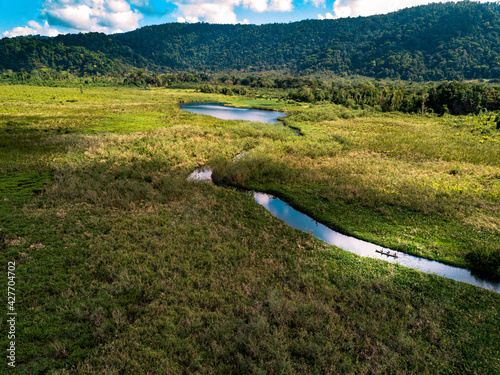 Aerial view of mangrove and lake in osa peninsula