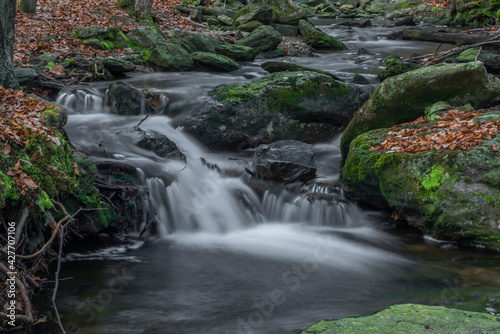 Bily creek near Bila strz waterfall on Bily creek in Sumava national park