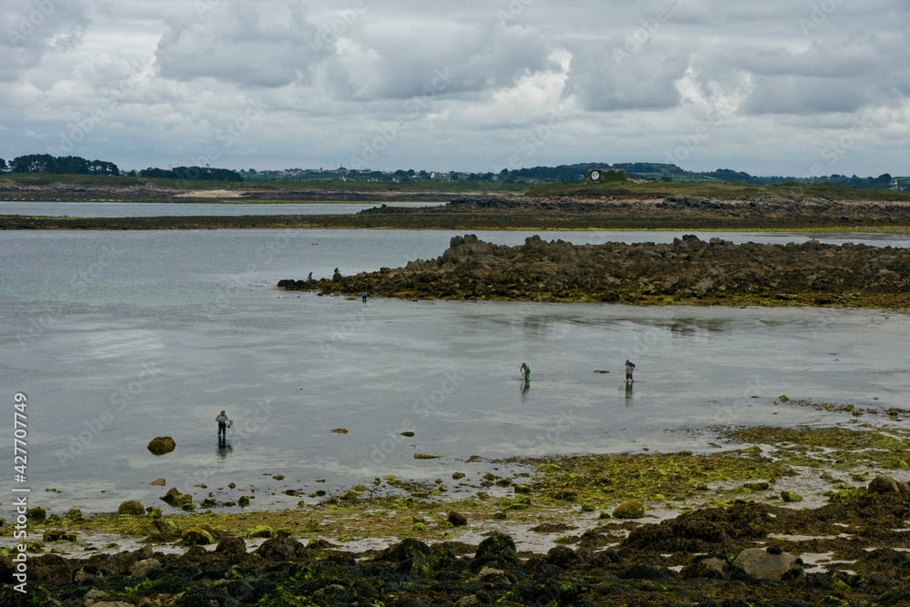 Plouguerneau France - 23 June 2017 - Fishing for seafruit in Aber Wrac'h near Plouguerneau in Bretagne France Plouguerneau France - 23 June 2017 - Fishing for seafruit in Aber Wrac'h near Plouguerneau in Bretagne France