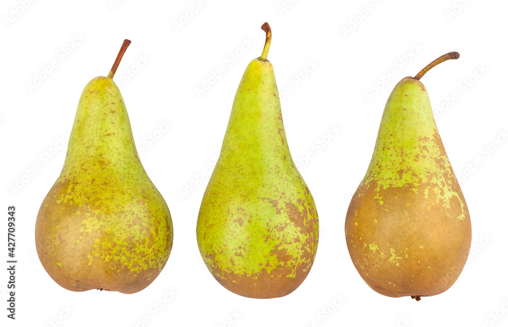 green pear path isolated on white green pear path isolated on white
