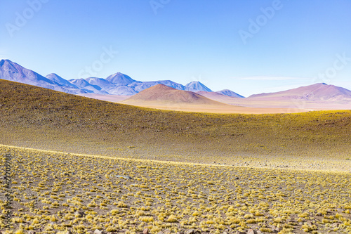 Open field in the Atacama Desert with mountains in the background