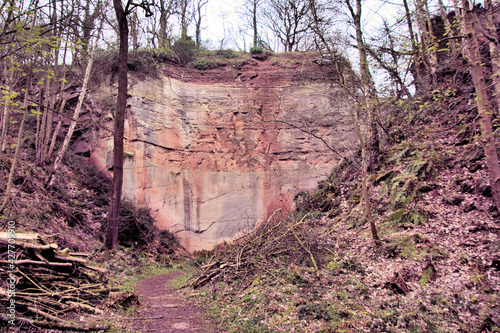 The woods at Grinshill in Shropshire showing a sandstone rock face photo