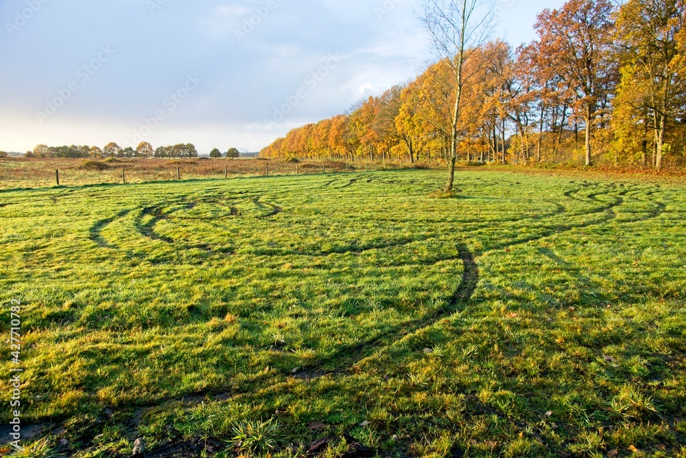 Autumn in countryside near Renkum in the Netherlands Autumn in countryside near Renkum in the Netherlands