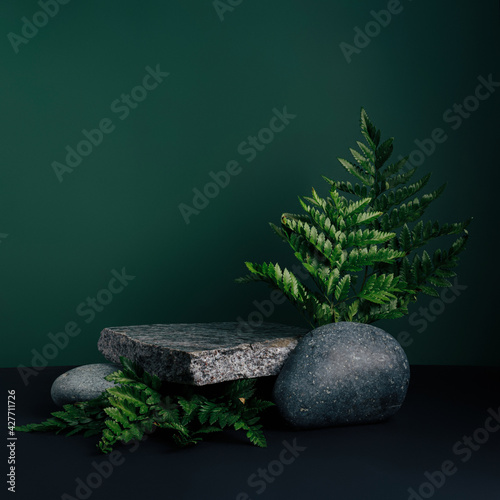 Canvas Print Luxurious empty product marble stone podium and forest green leaves on dark background