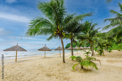 Tien Sa Beach - paradise beach at tropical coast scenery in Da Nang - travel destination in Vietnam