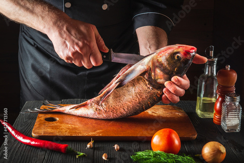 The chef is cleaning bighead carp fish. Working environment in the restaurant kitchen. Fish diet concept photo