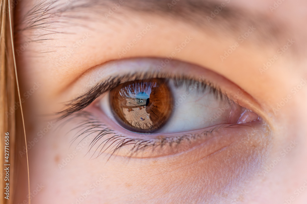 Detail of a girl's brown eye with reflection, eyelashes, eyebrow and blonde hair. Detail of a girl's brown eye with reflection, eyelashes, eyebrow and blonde hair.